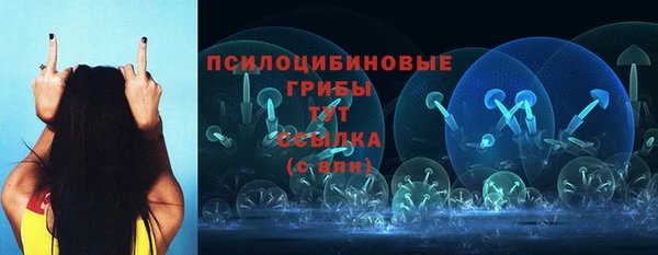 дмт Сафоново
