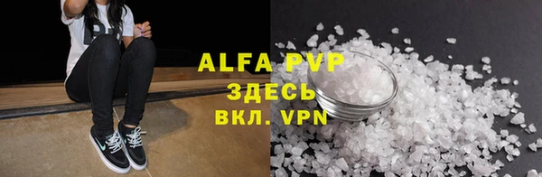 индика Сатка