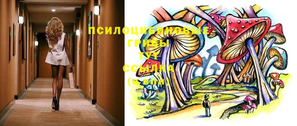 ешки Абинск