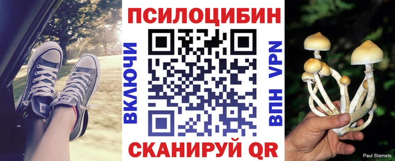 Галлюциногенные грибы Cubensis  Донецк 